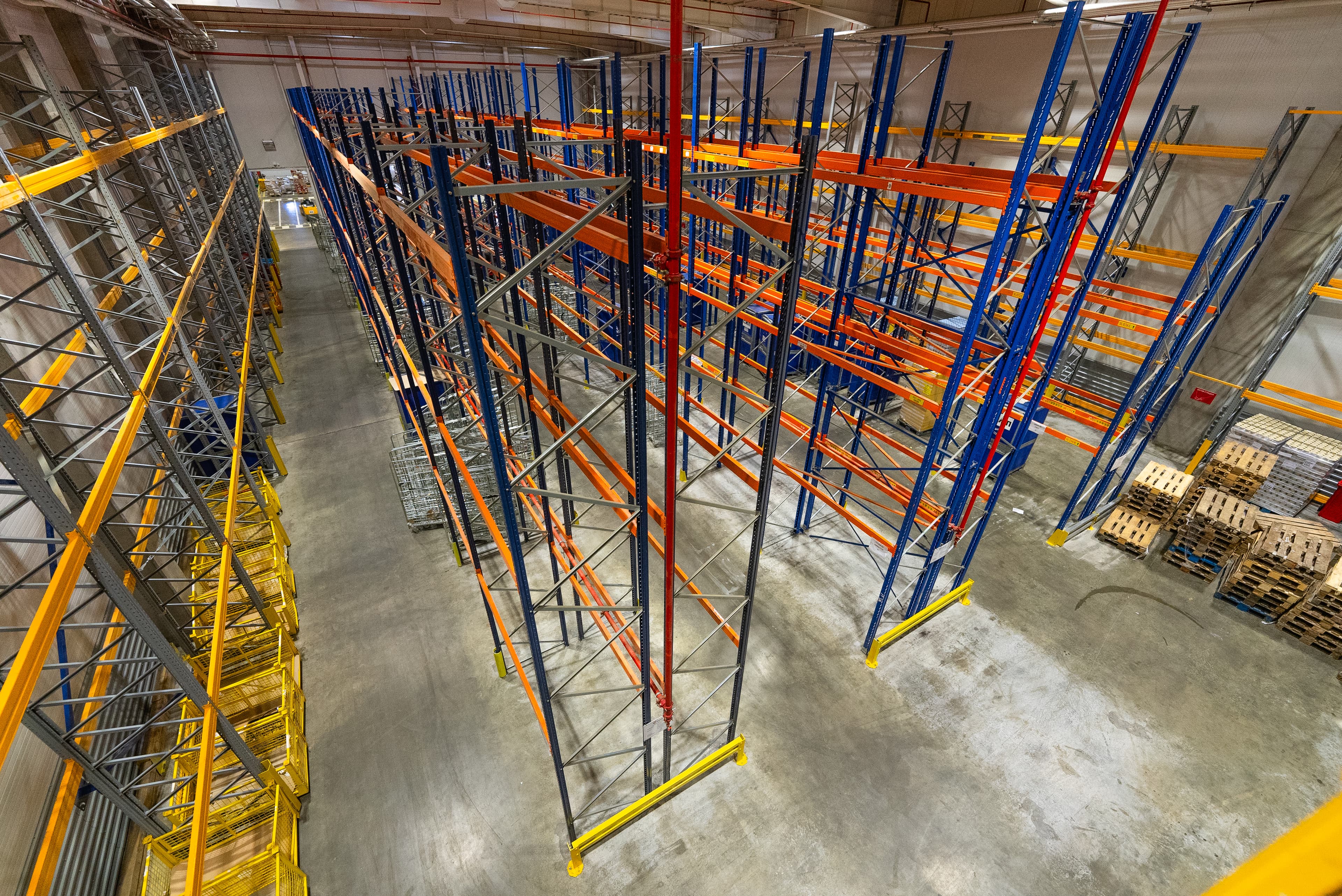 склад скелета