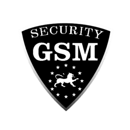 GSM Security